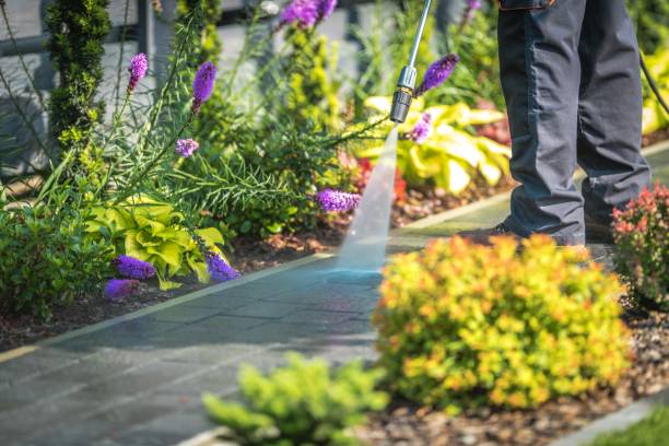 Cetronia, PA Pressure Washing Services Company