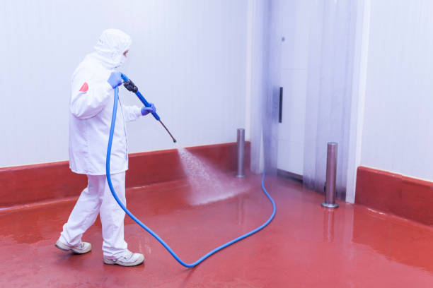 Best Soft Washing  in Cetronia, PA